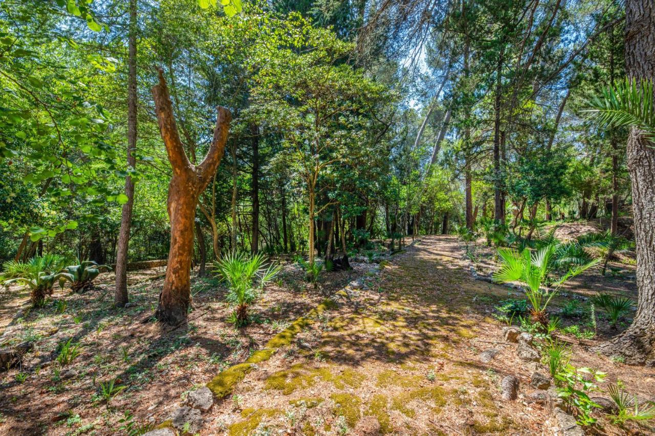 פוינסה Son Grua Agroturismo - Adults Only מראה חיצוני תמונה